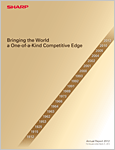 Photo: Annual Report 2012