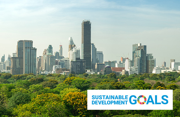 SDGs image